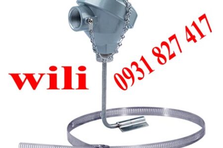 CẢM BIẾN NHIỆT ĐỘ RTD 100, PT 100